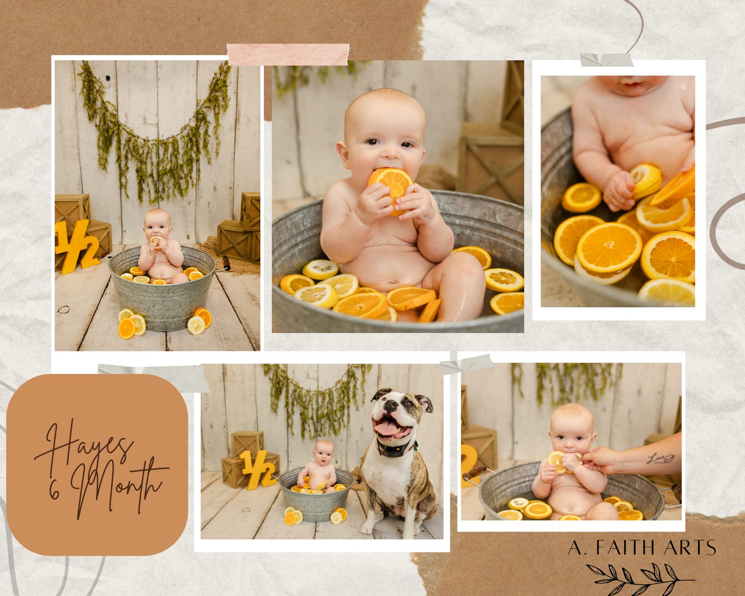 Ohio Photographer, Ohio Photography, Ohio Photos, Summer Photos, Milestone Photos