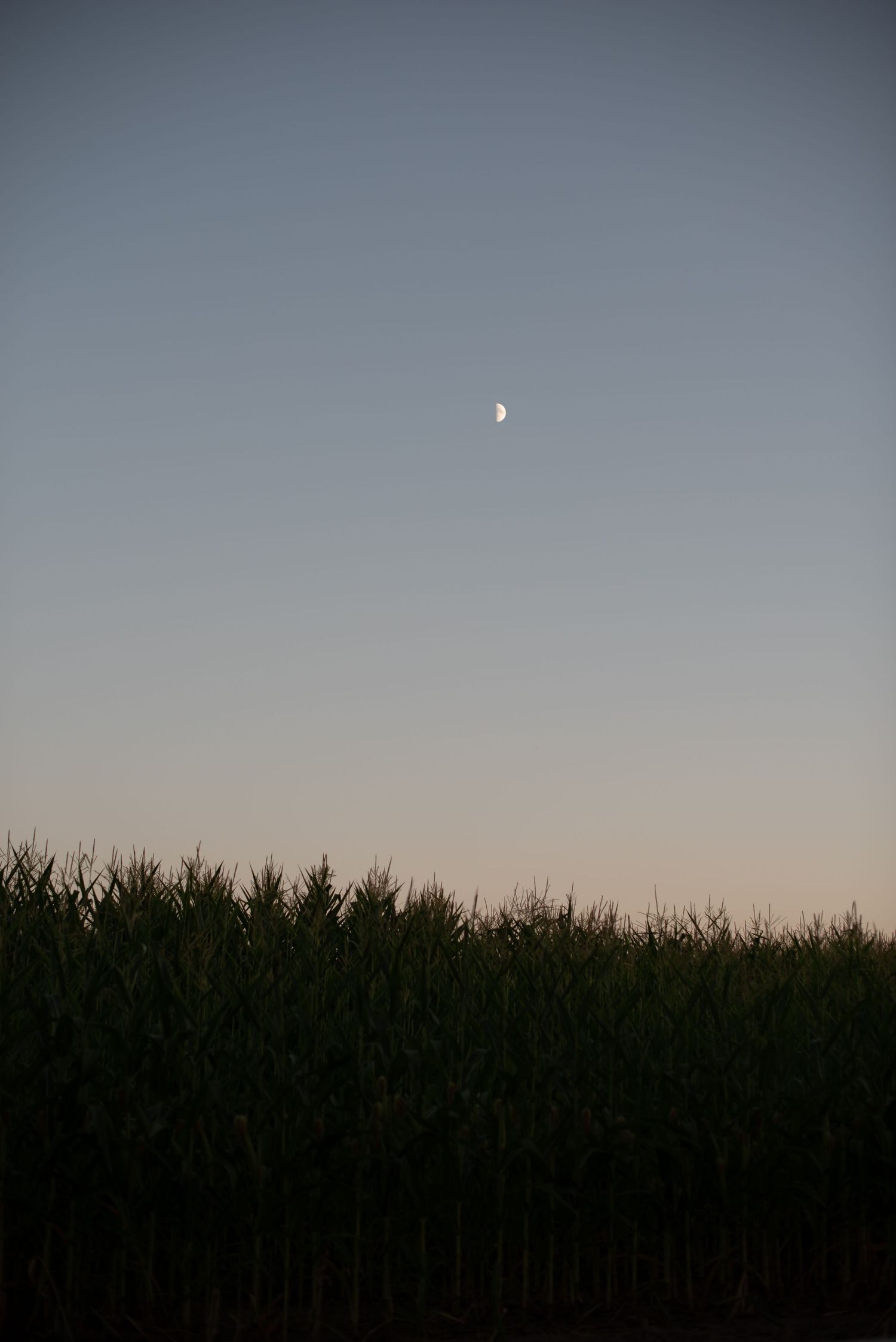 sunset portraits in idaho