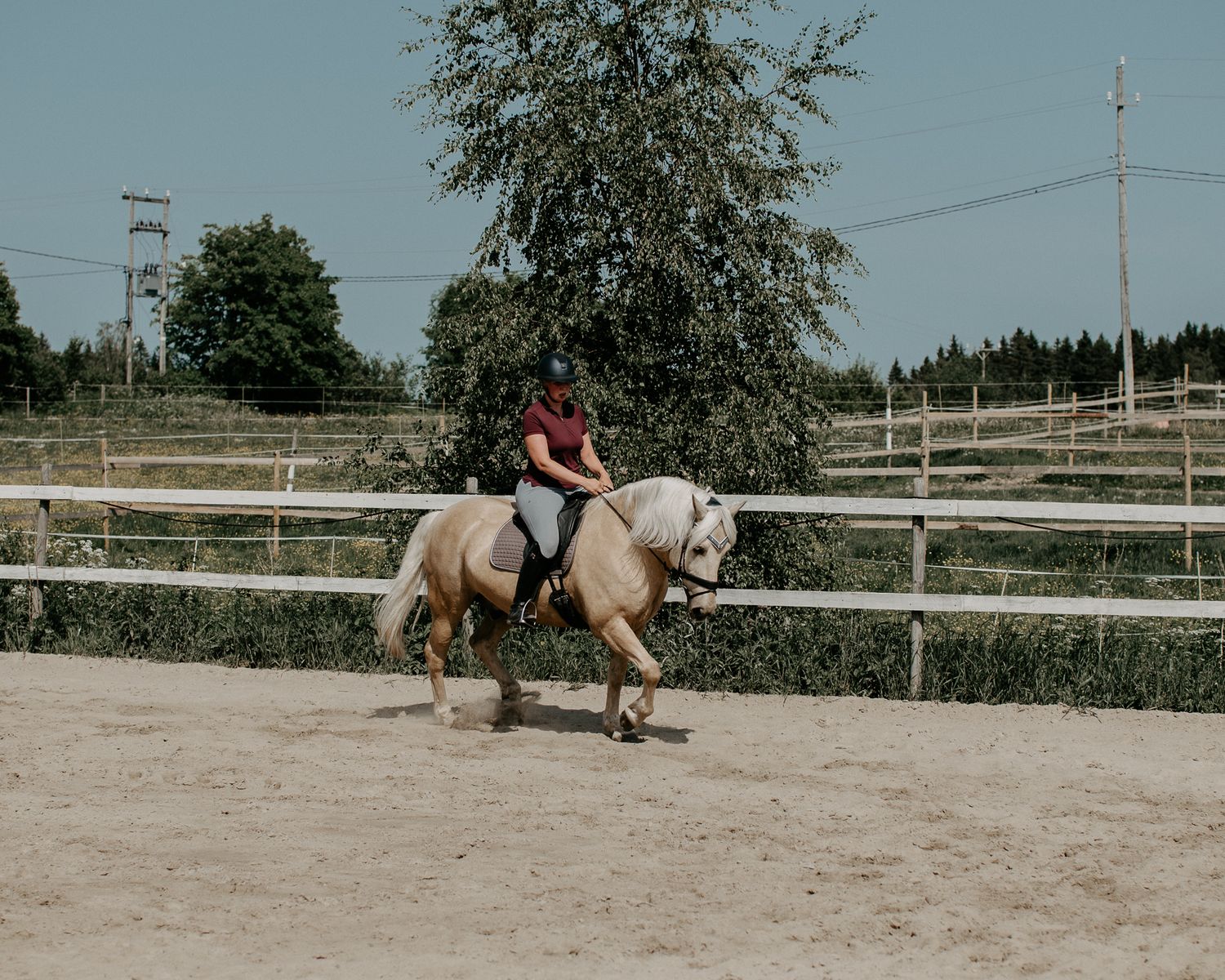 A rider practices horseback riding in a fenced arena on a summer day.
