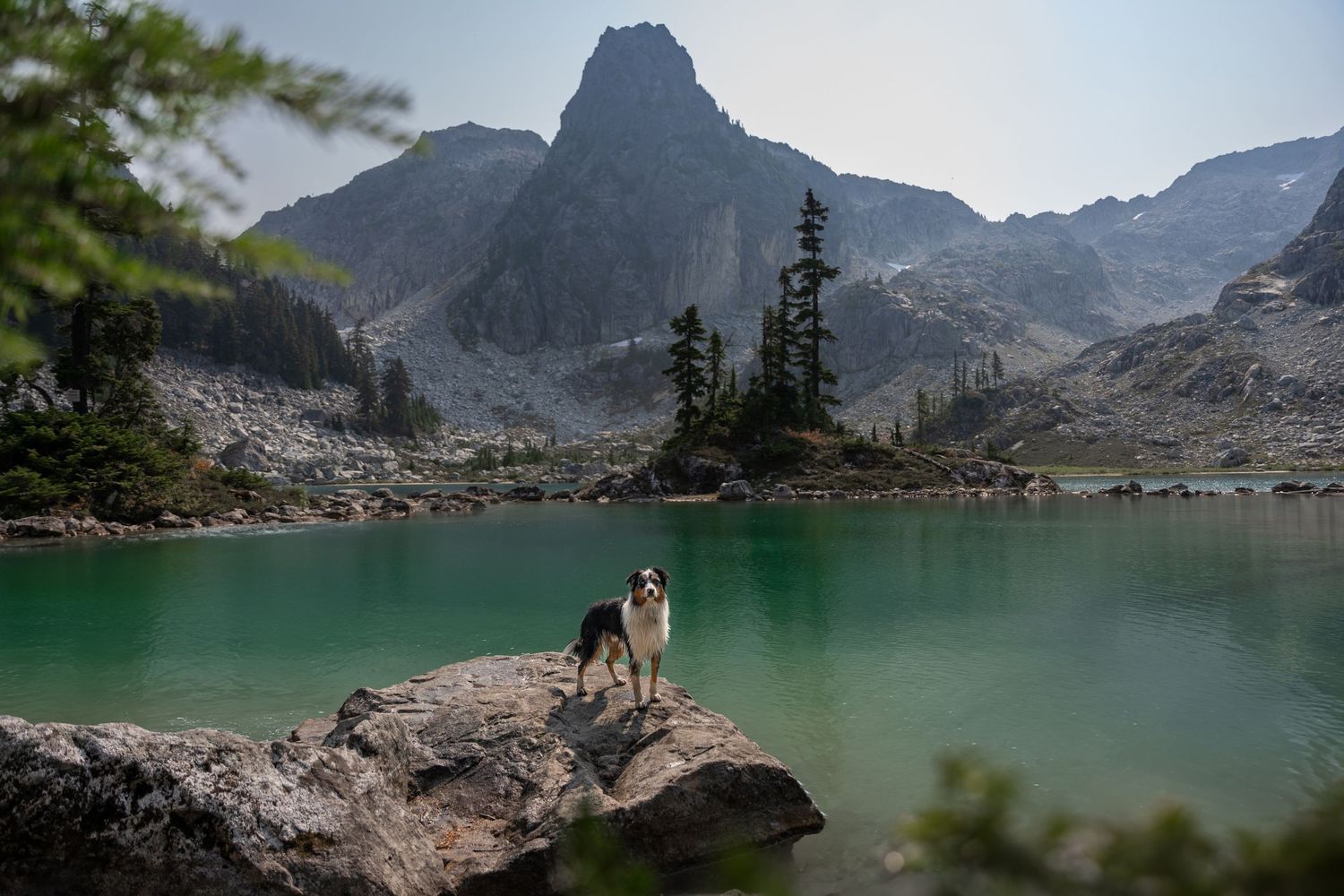 A Australian shepherd stands on a rock beside a stunning turquoise alpine lake with mountain peaks during a adventure session.