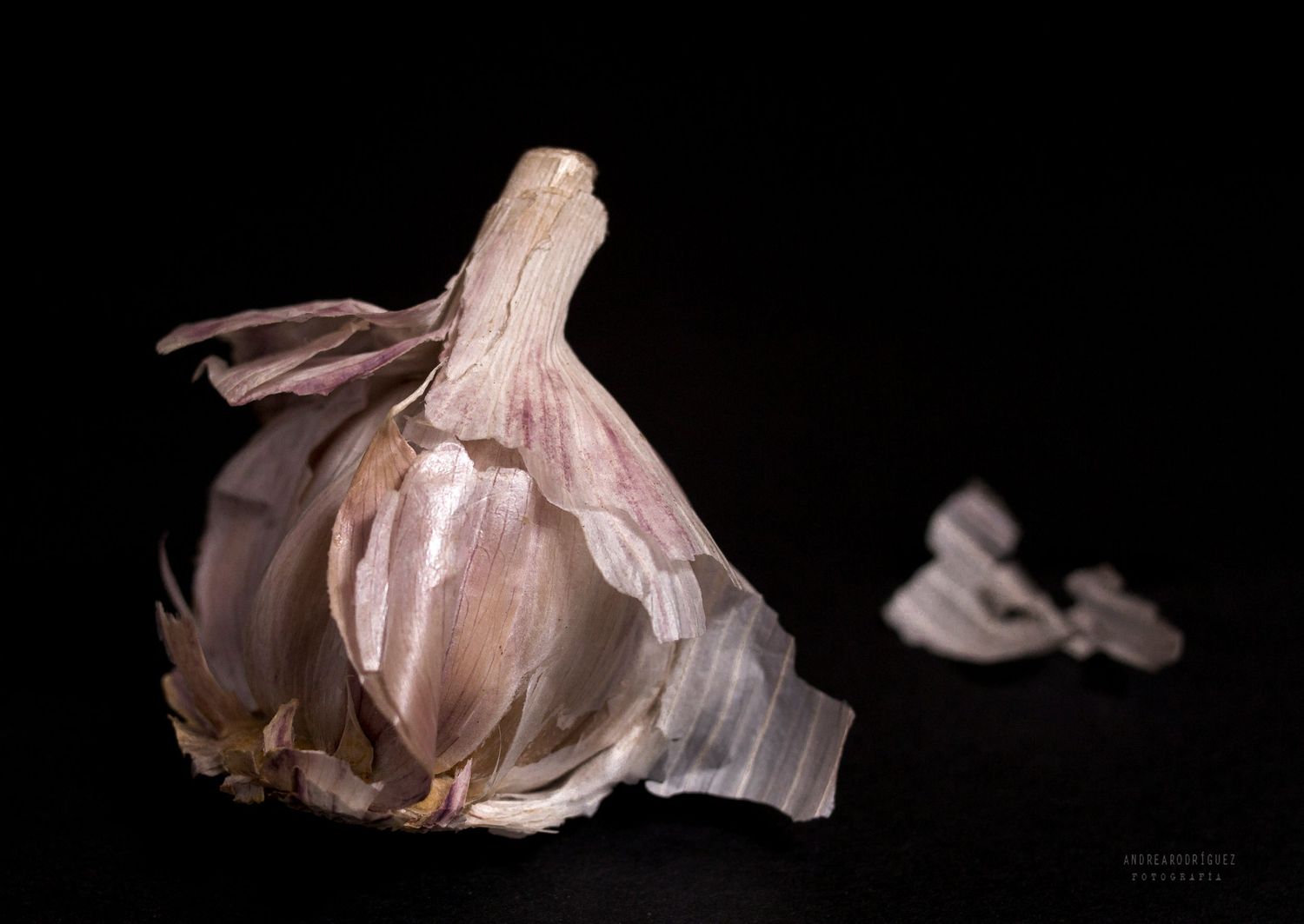 Food Photography,  fotografía de alimentos, fotografía gastronómica, publicitaria
