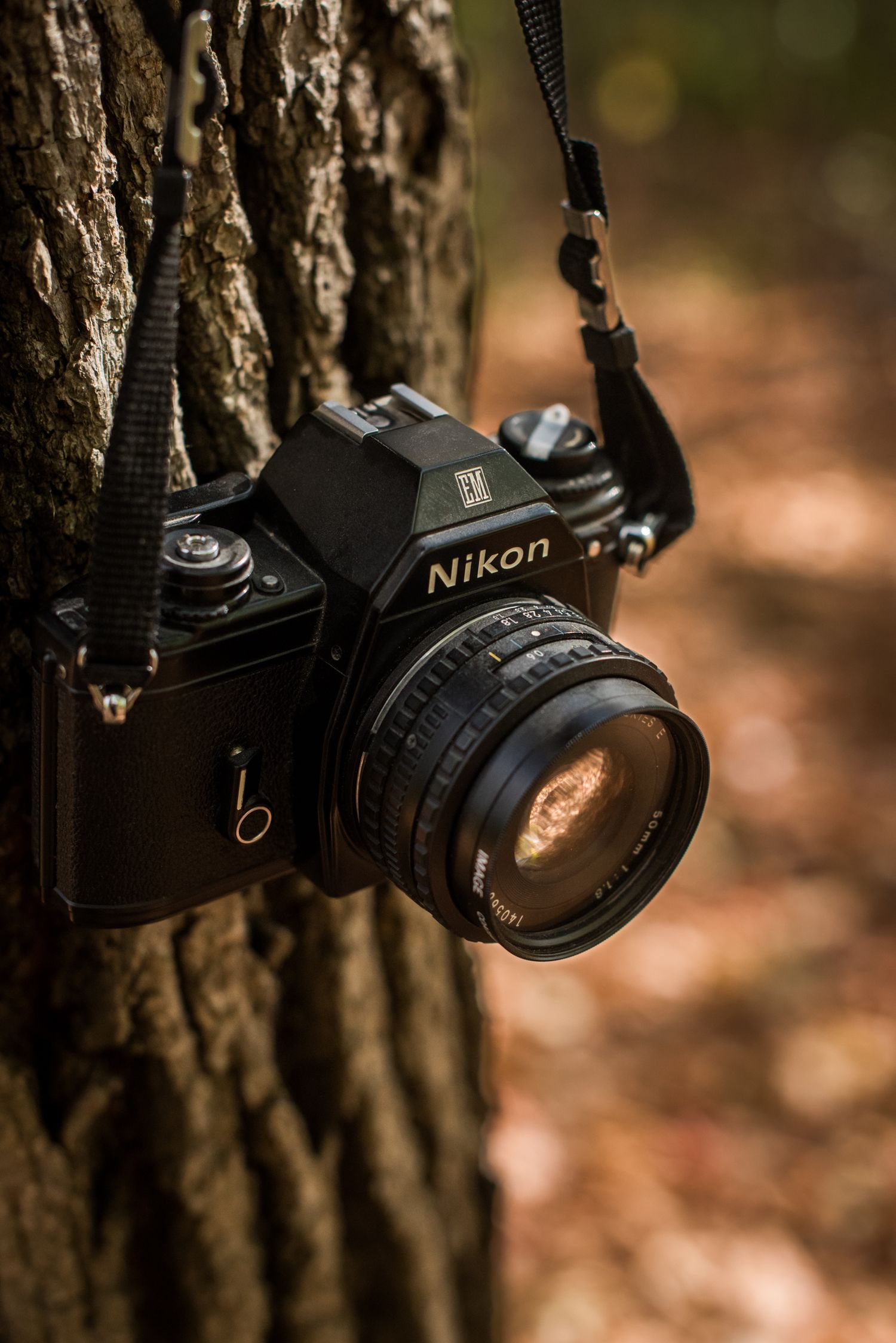krystel_beaulieu_photographie_camera_automne-1