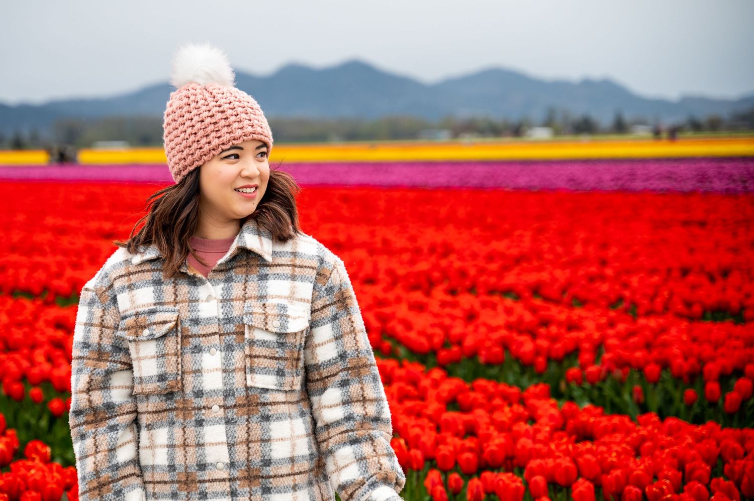 The Tulip fields in Mt Lemon Washington is a perfect location for a photoshoot.