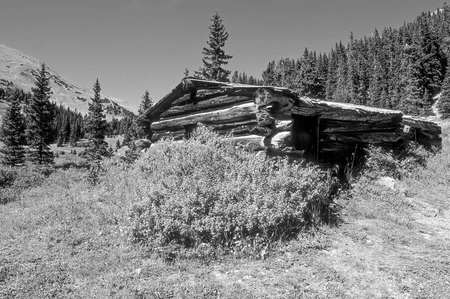 Cree's Camp, Colorado
