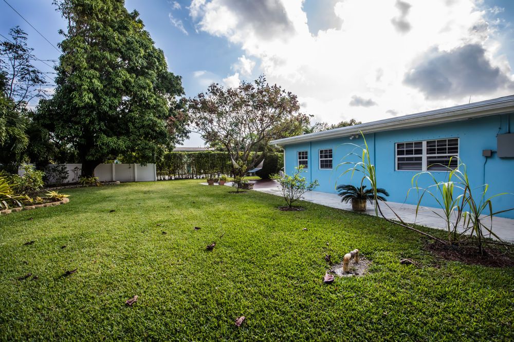 Expansive lawn with tropical landscaping and palm trees surrounding a light blue house.