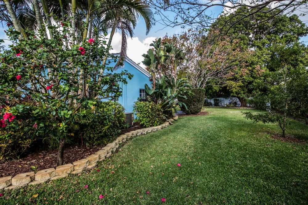 Lush tropical garden landscape with palm trees and flowering plants on a grassy slope.