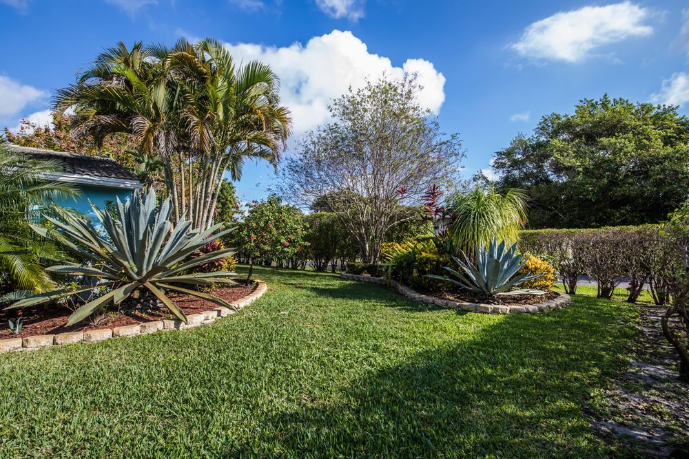 Panoramic view of landscaped backyard with palm trees and tropical plants under blue sky.