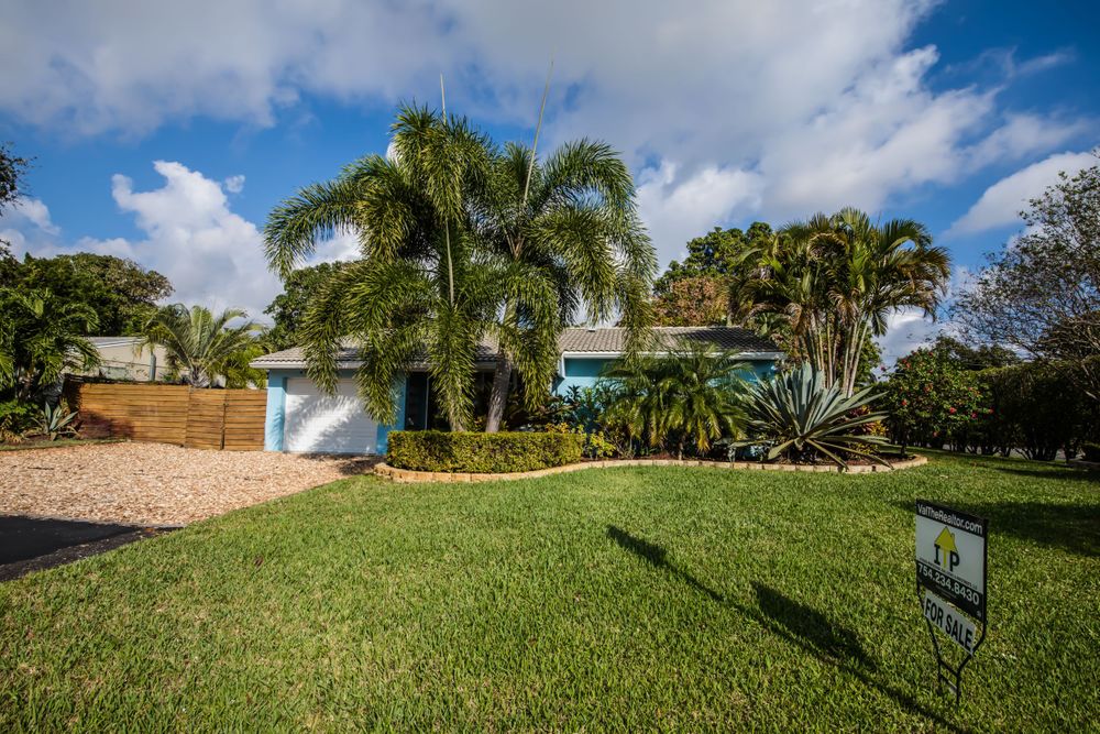 Panoramic view of a lush green backyard with palm trees and blue sky on a sunny day.