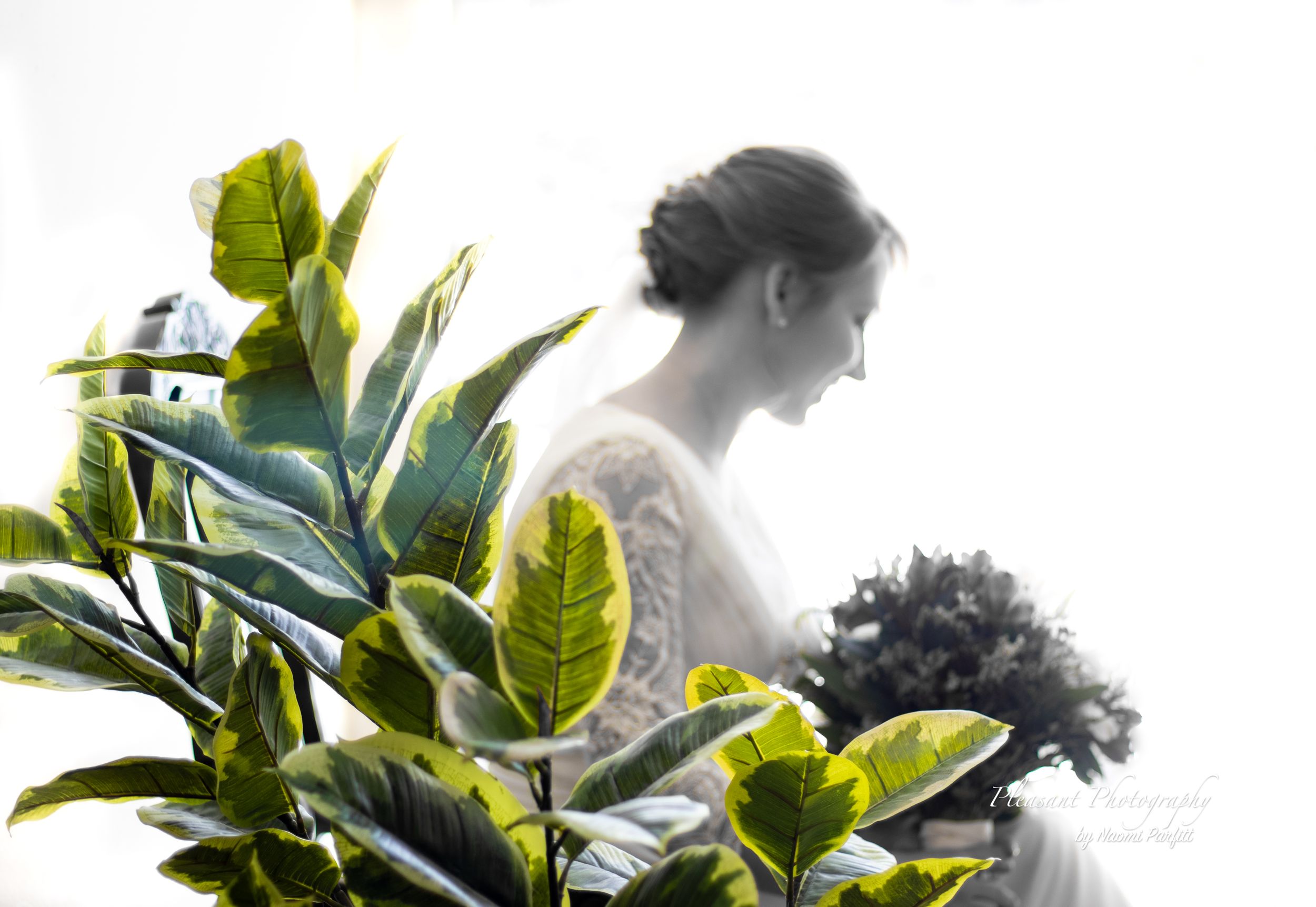Wholesome and professional wedding photography by Pleasant Photography