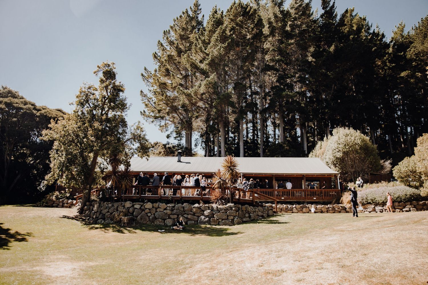 Panoramic view of a rustic wedding venue surrounded by pine trees and natural landscape.