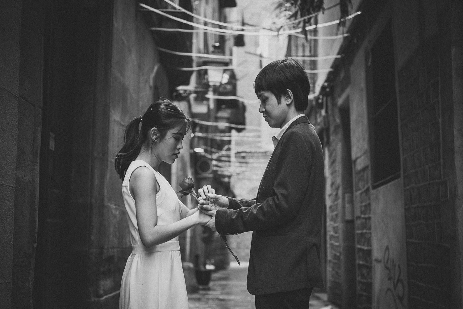 Groom giving fiancé a rose to symbolise their engagement