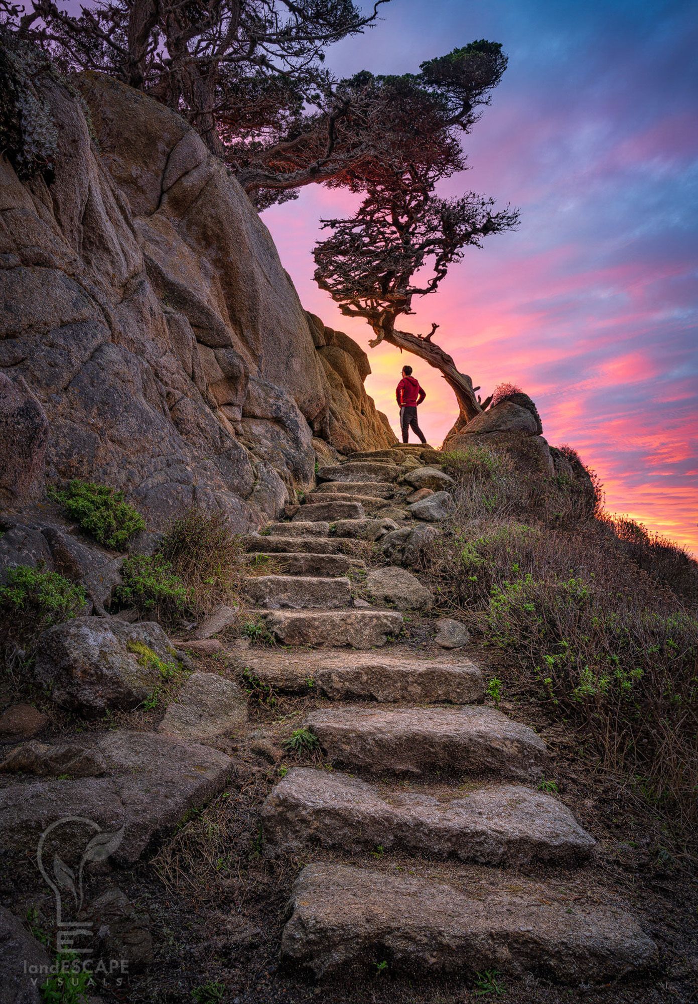 A silhouette stands on stone steps carved into a cliff with a twisted tree and dramatic pink sunset sky in the background.