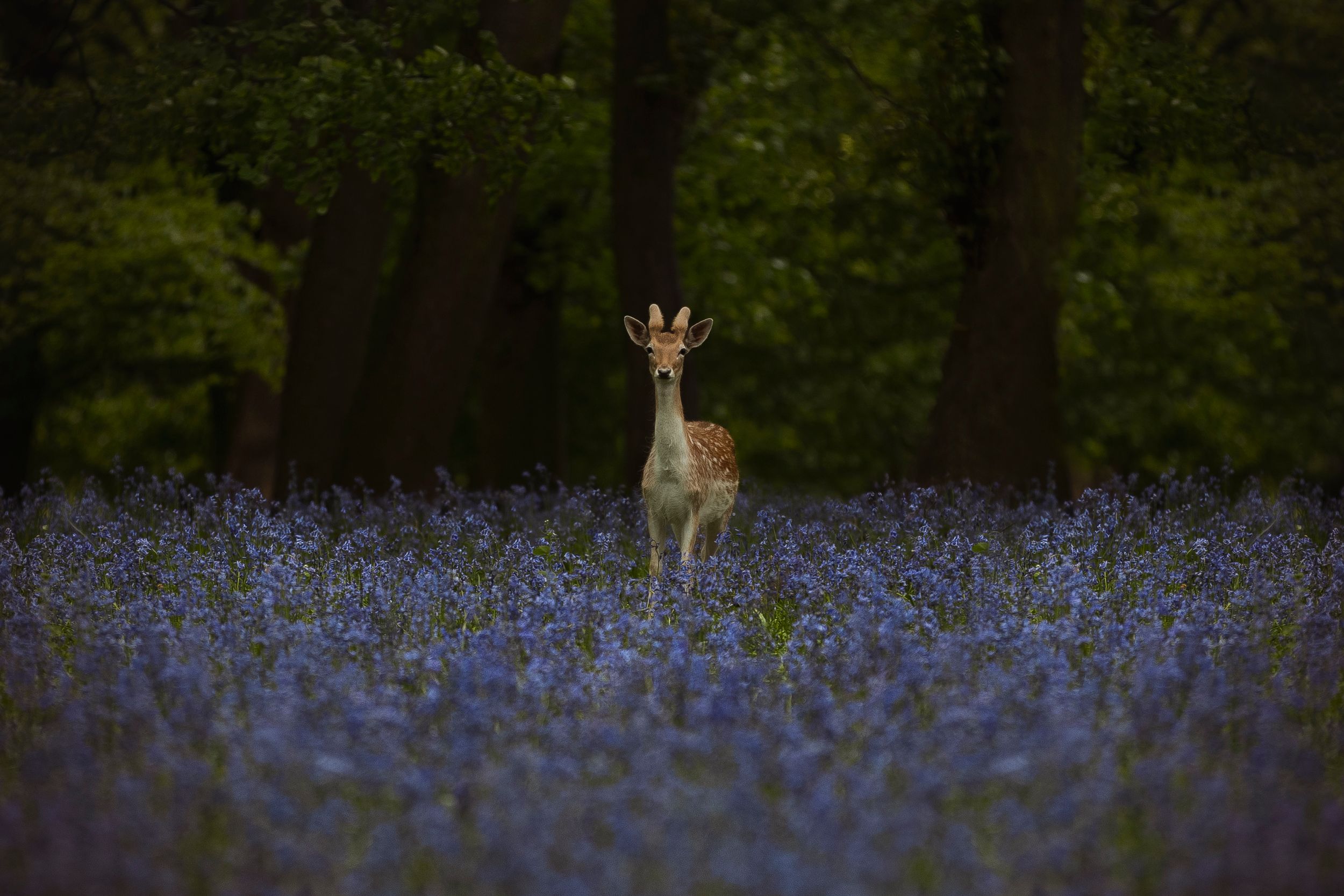 landscapes-photography