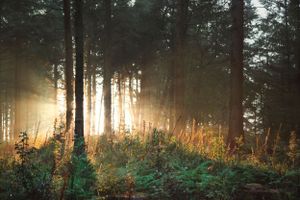 landscapes-photography