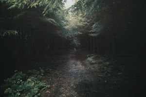 landscapes-photography
