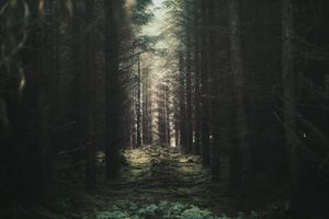 landscapes-photography