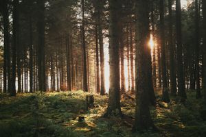 landscapes-photography