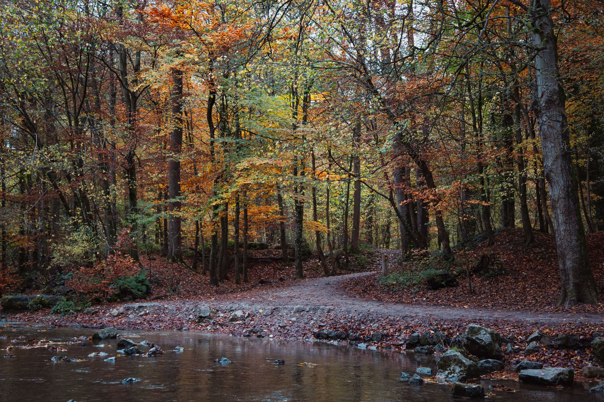 landscapes-photography