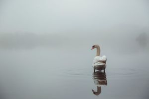 landscapes-photography