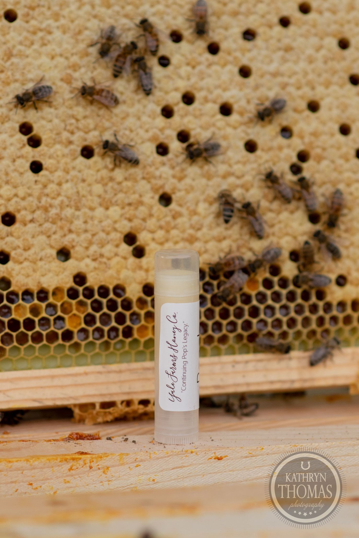 Close-up of honeybees on a brood frame with lip balm product.