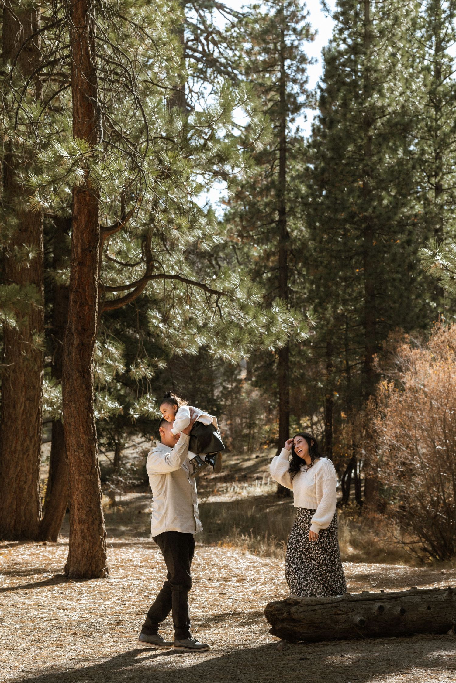 A group taking photos in a sunlit forest with tall pine trees.