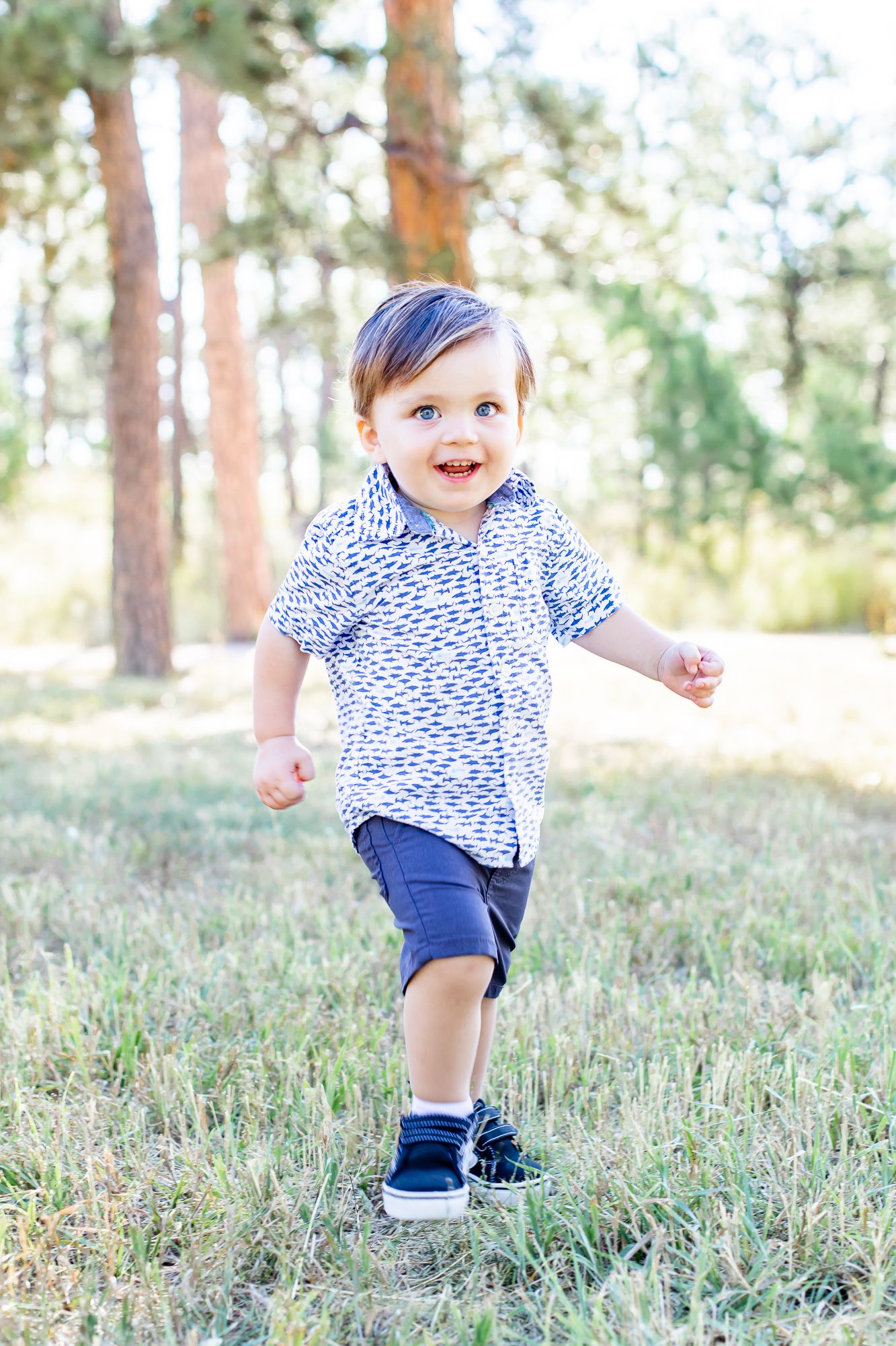 toddler boy runs through the grass in Black Forest, Colorado.