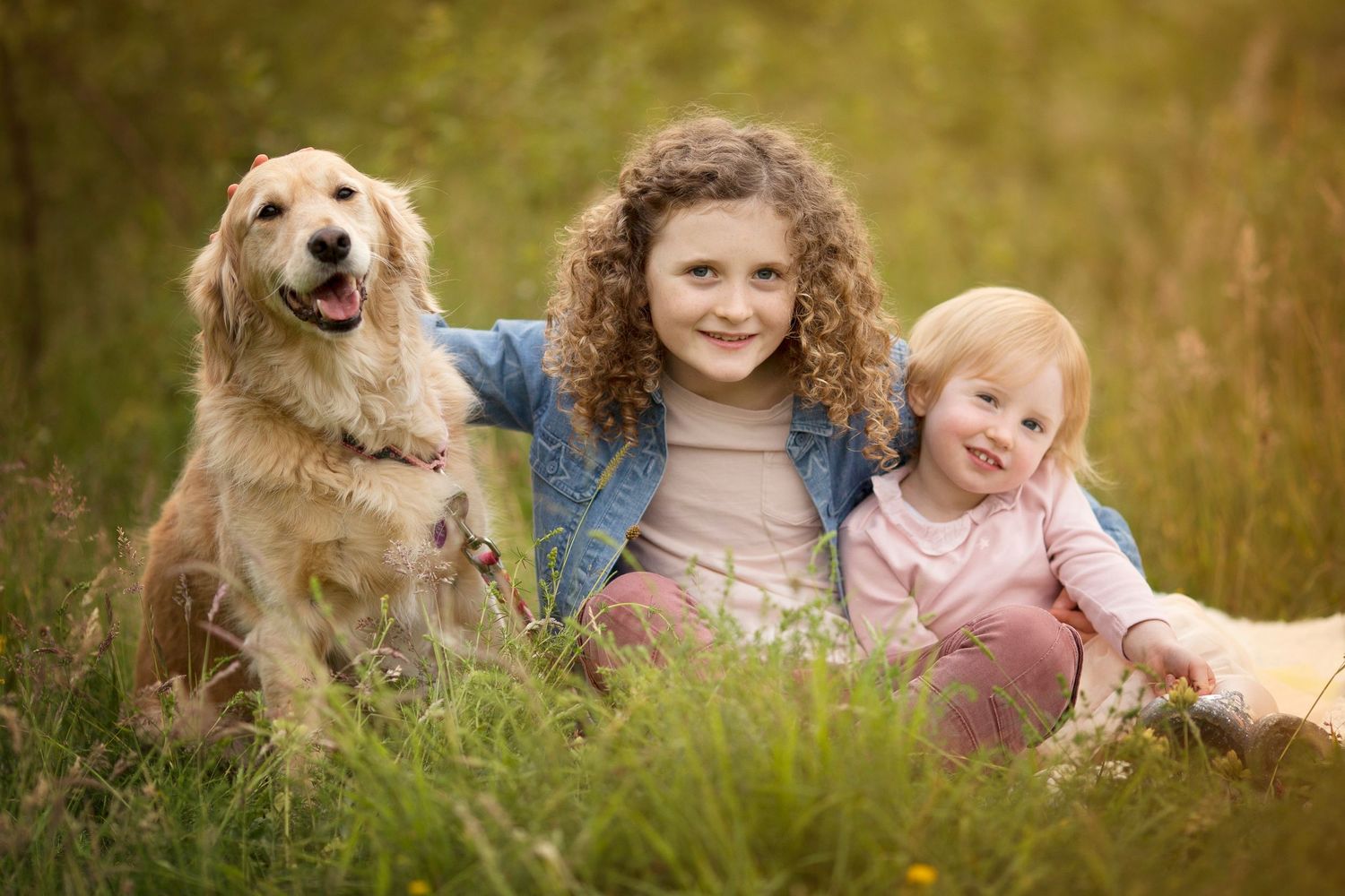 Pet portrait little wonderland photography widnes cheshire