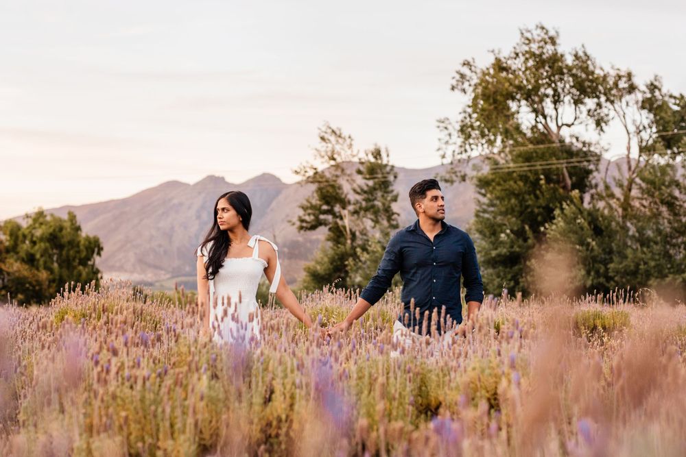 couple posing on the lavender field in Franschhoek