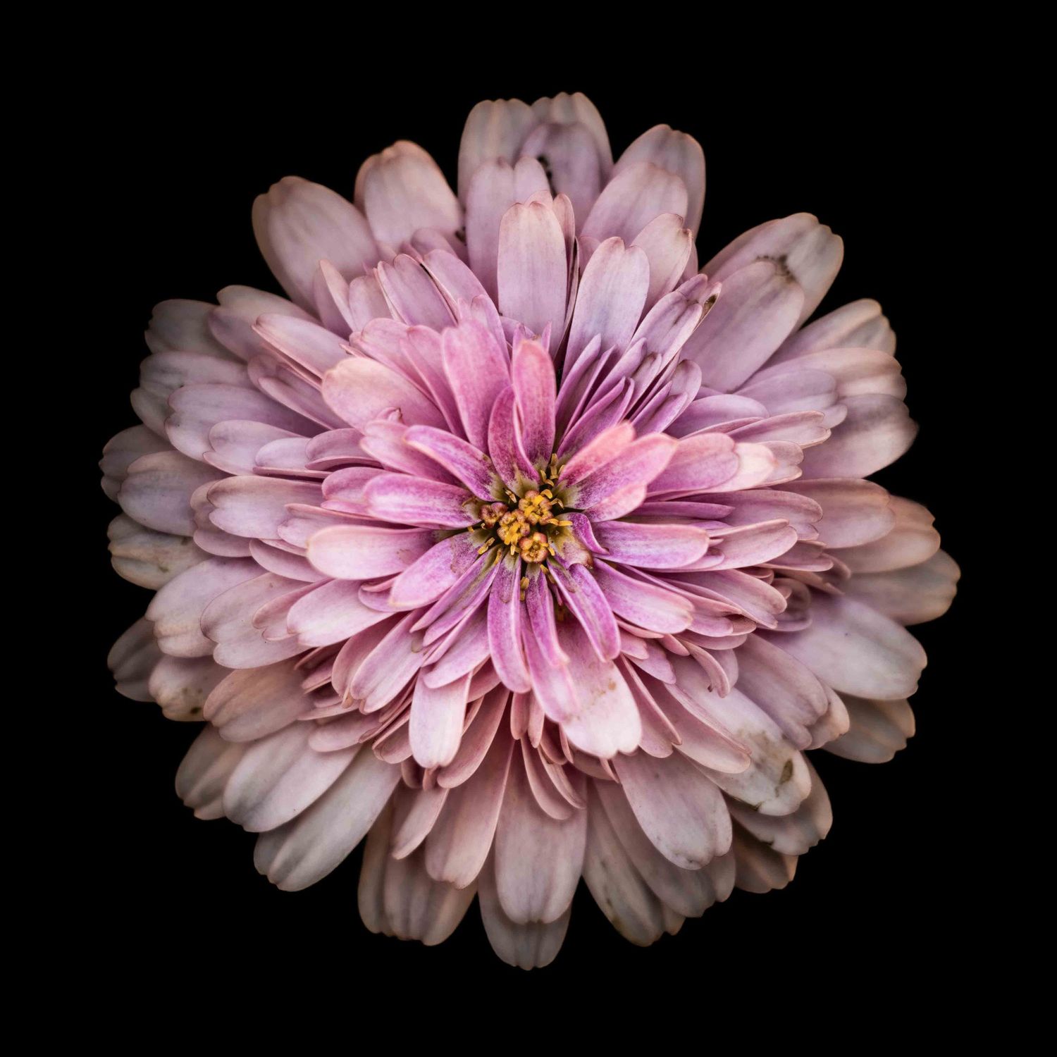 John Peters Photography