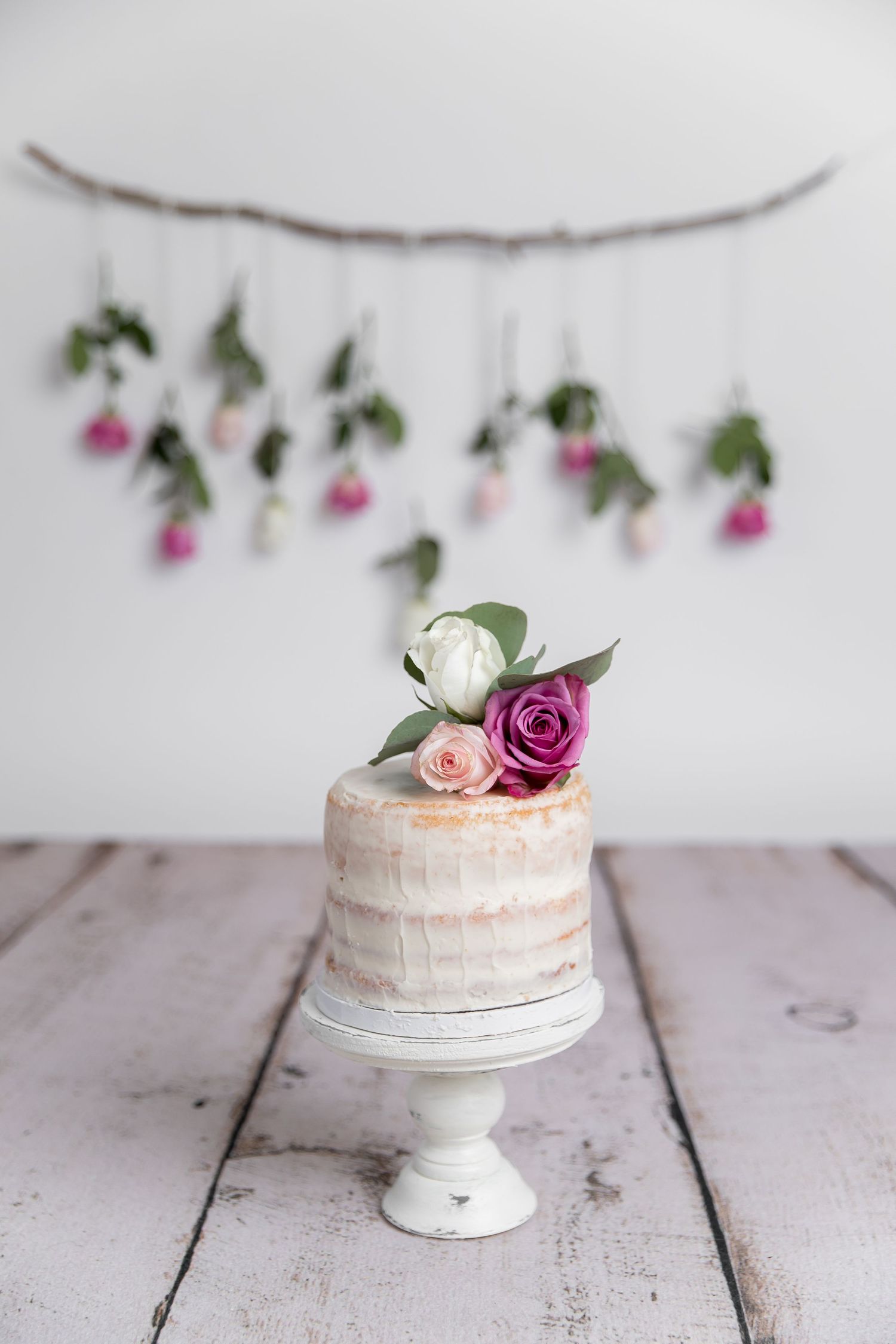charlotte nc cake smash photographer