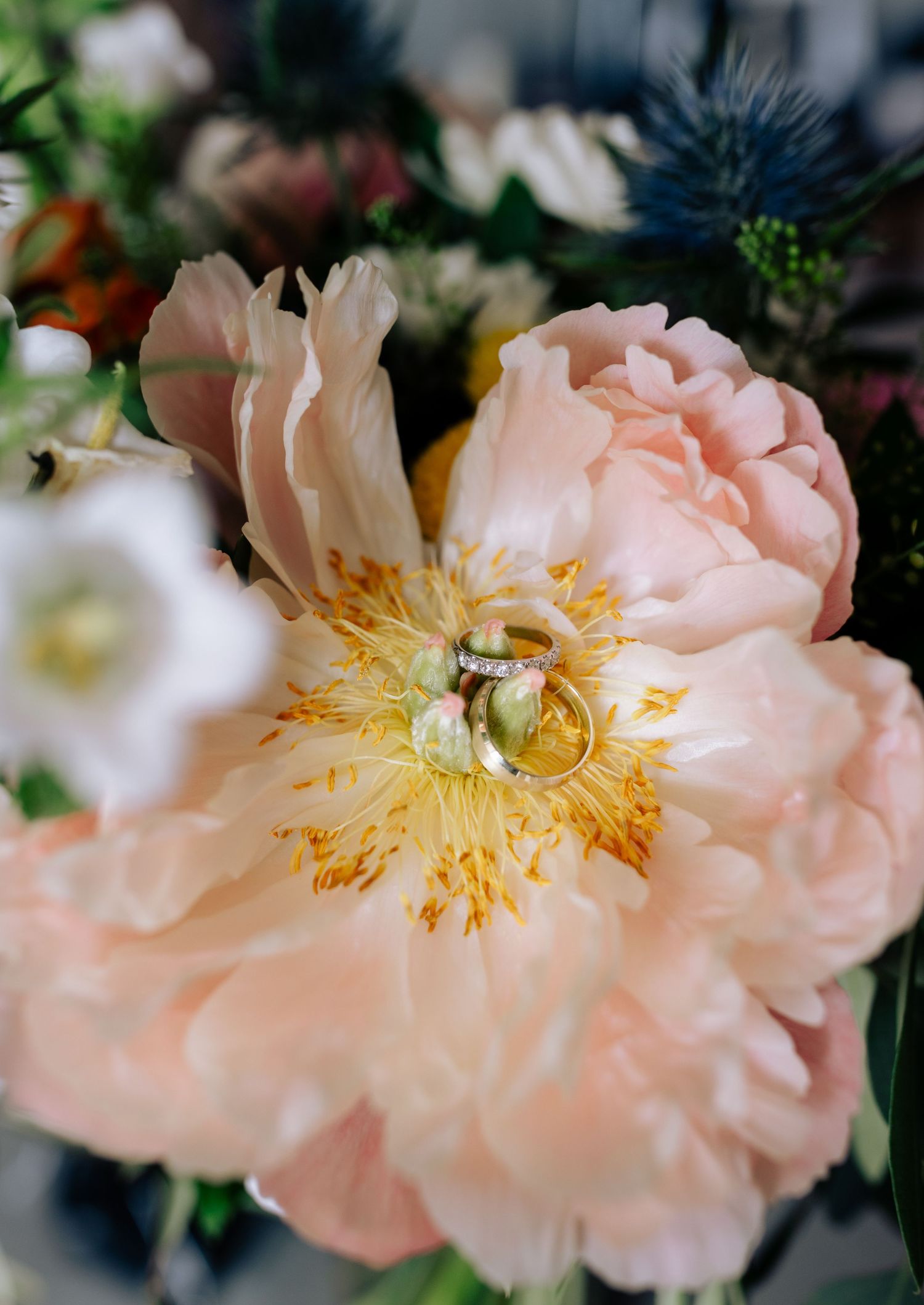 Close-up of a delicate peach-colored peony with yellow center and ruffled petals.