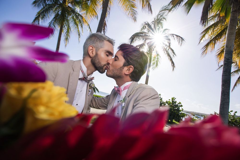 Tender kiss shared beneath palm trees during golden hour.