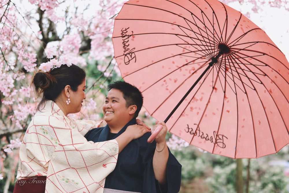 Pink parasol frames romantic scene under blooming cherry blossoms.