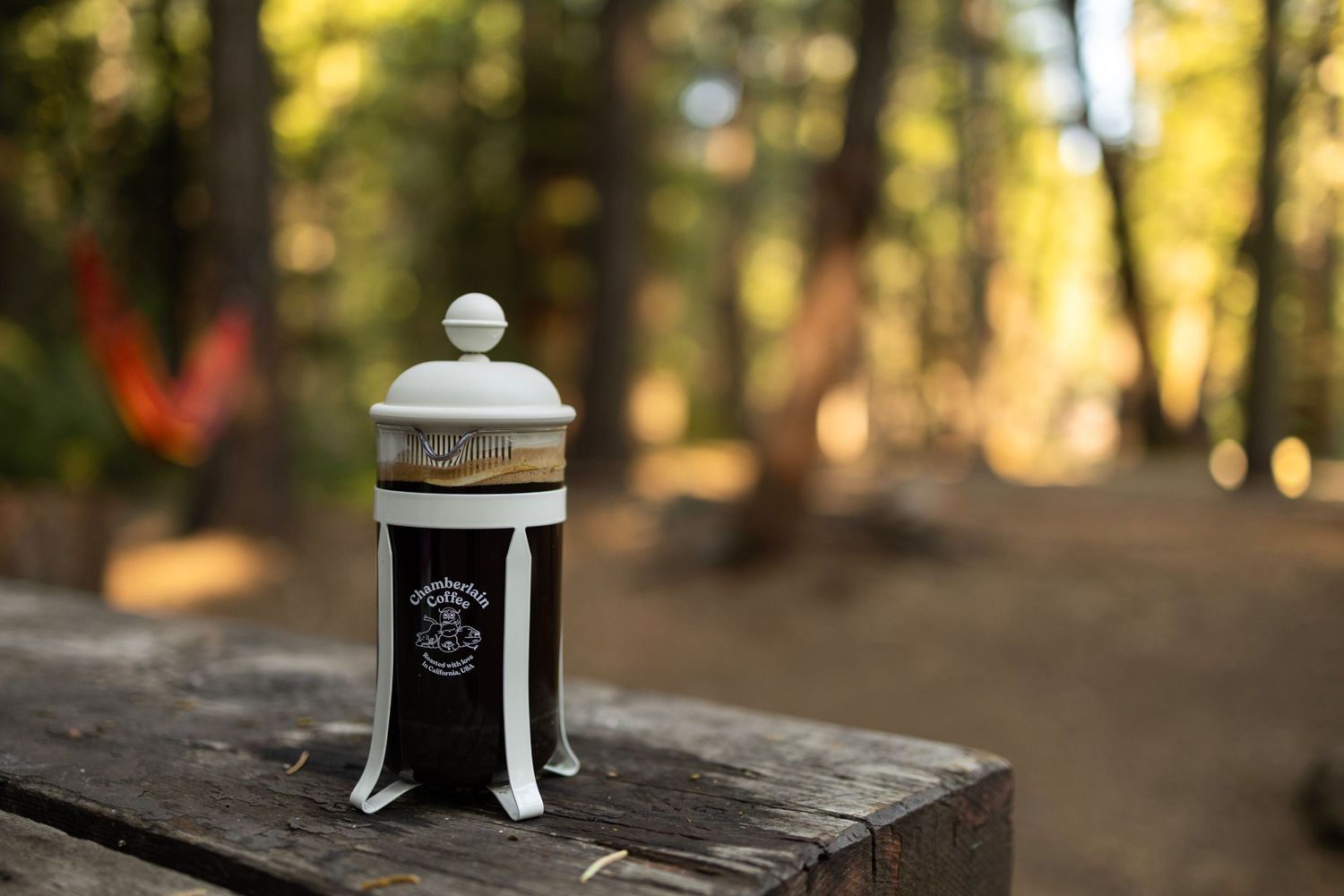 A small French press coffee maker sits on a wooden table in a sunlit forest setting.