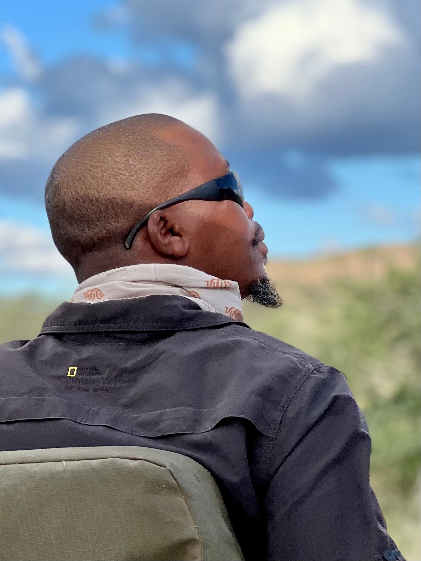 Back view sequence of someone wearing sunglasses and dark jacket observing wildlife.