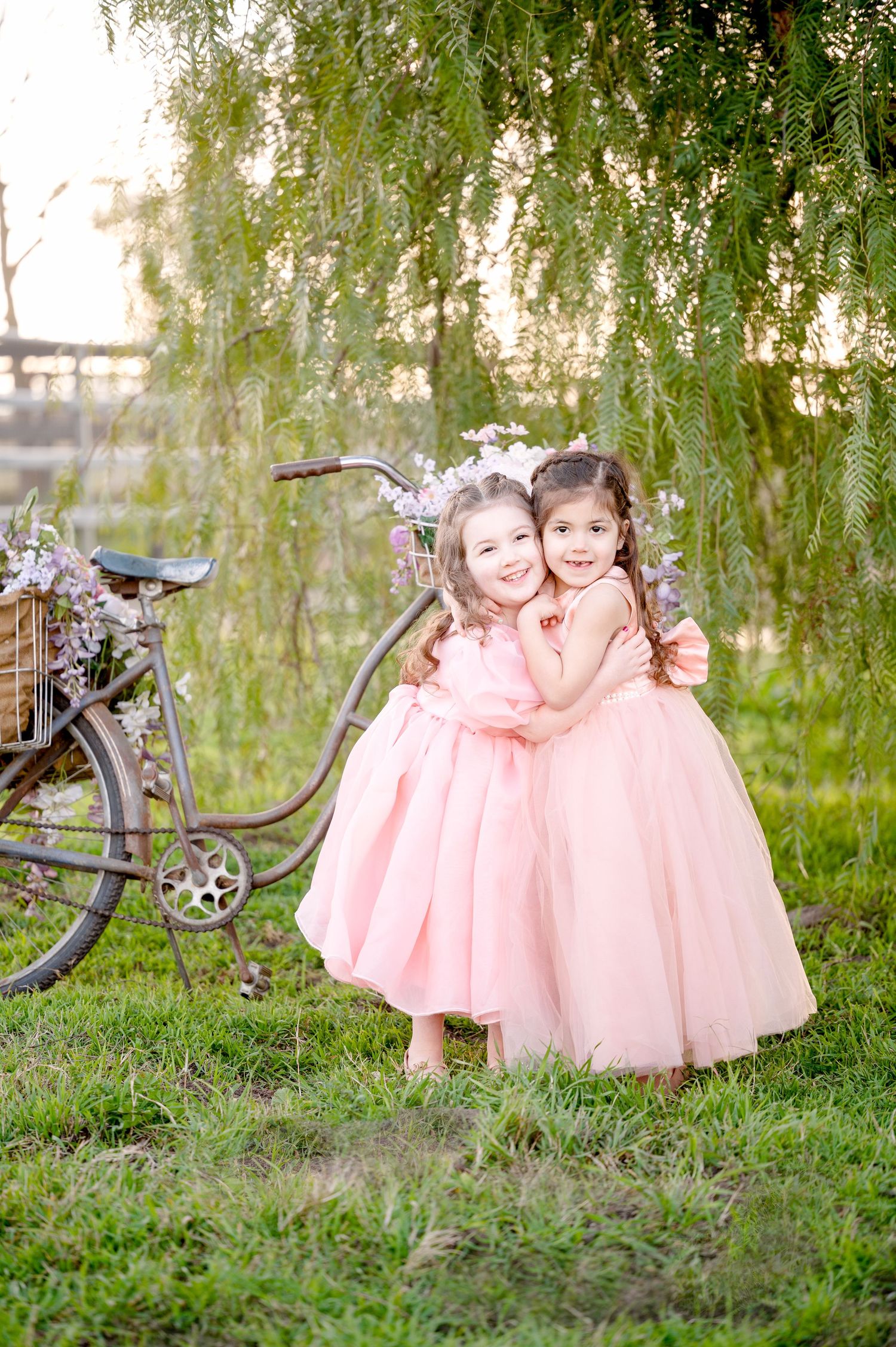 Vintage bicycle scene with pink tulle dresses under weeping willow branches.