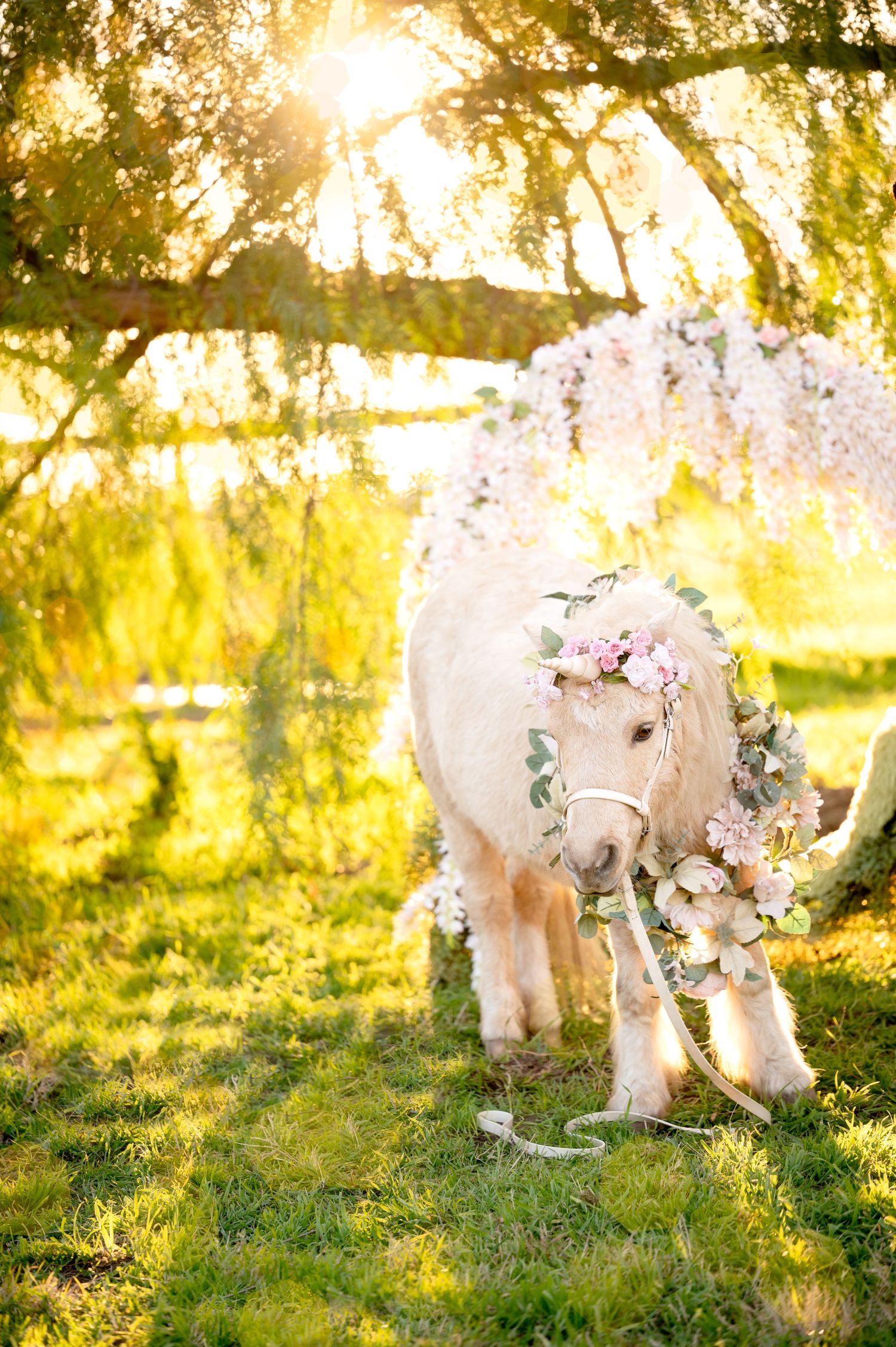 White pony adorned with flowers stands in sunlit garden setting with hanging floral decorations.