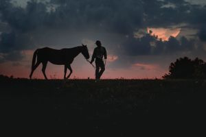 Silhouette of a person and horse standing together against a vibrant dramatic sunset sky.