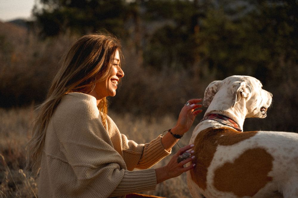 Warm sunset moment sharing affection with spotted dog in natural setting.