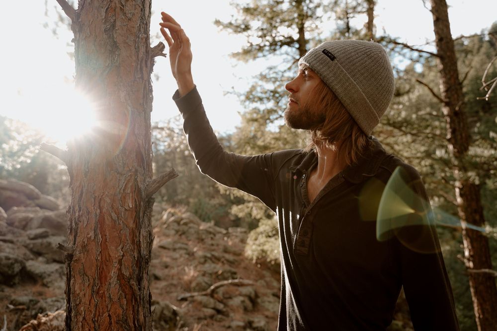 Person in a beanie touches a tree trunk while sunlight filters through forest branches.