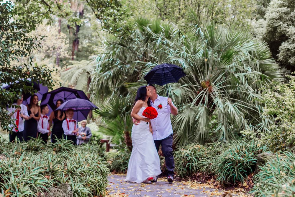 Garden wedding scene with lush greenery and palm fronds framing the path.