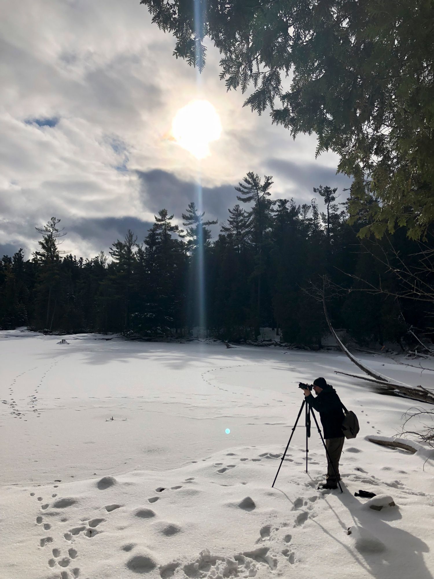 Spirits Intrigued Photography About Me Bio Winter Alex Taking Picture Kitchener Waterloo 2021