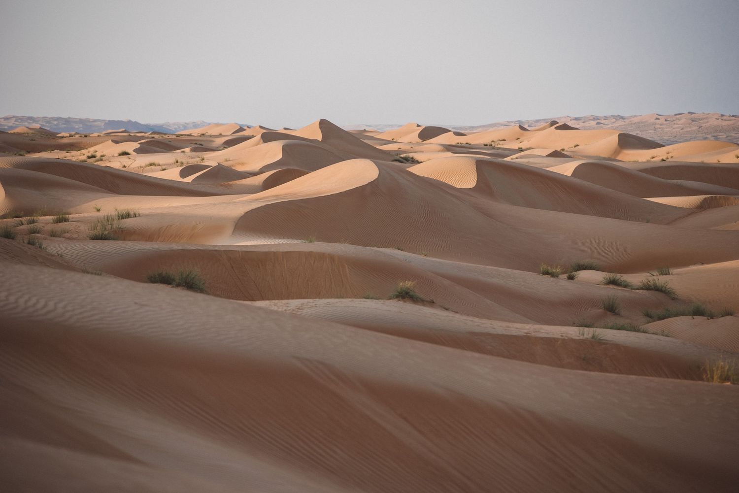 Rolling sand dunes stretch across desert landscape at sunset.
