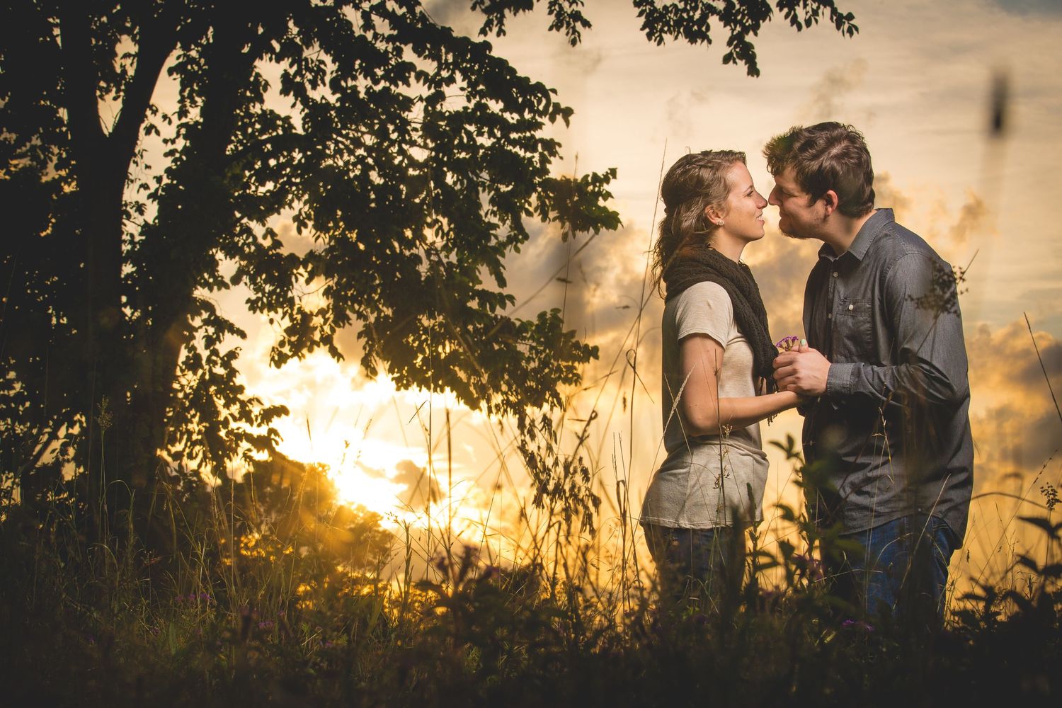 A couple embraces in silhouette against a golden sunset through trees.