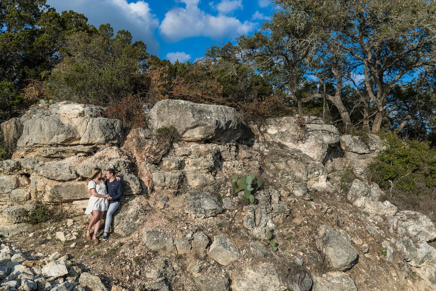 Rocky coastal landscape with dramatic cliffs and trees against a bright blue sky.