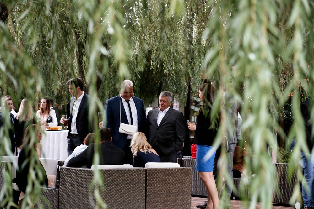 Wedding guests mingling among willow trees at outdoor reception.