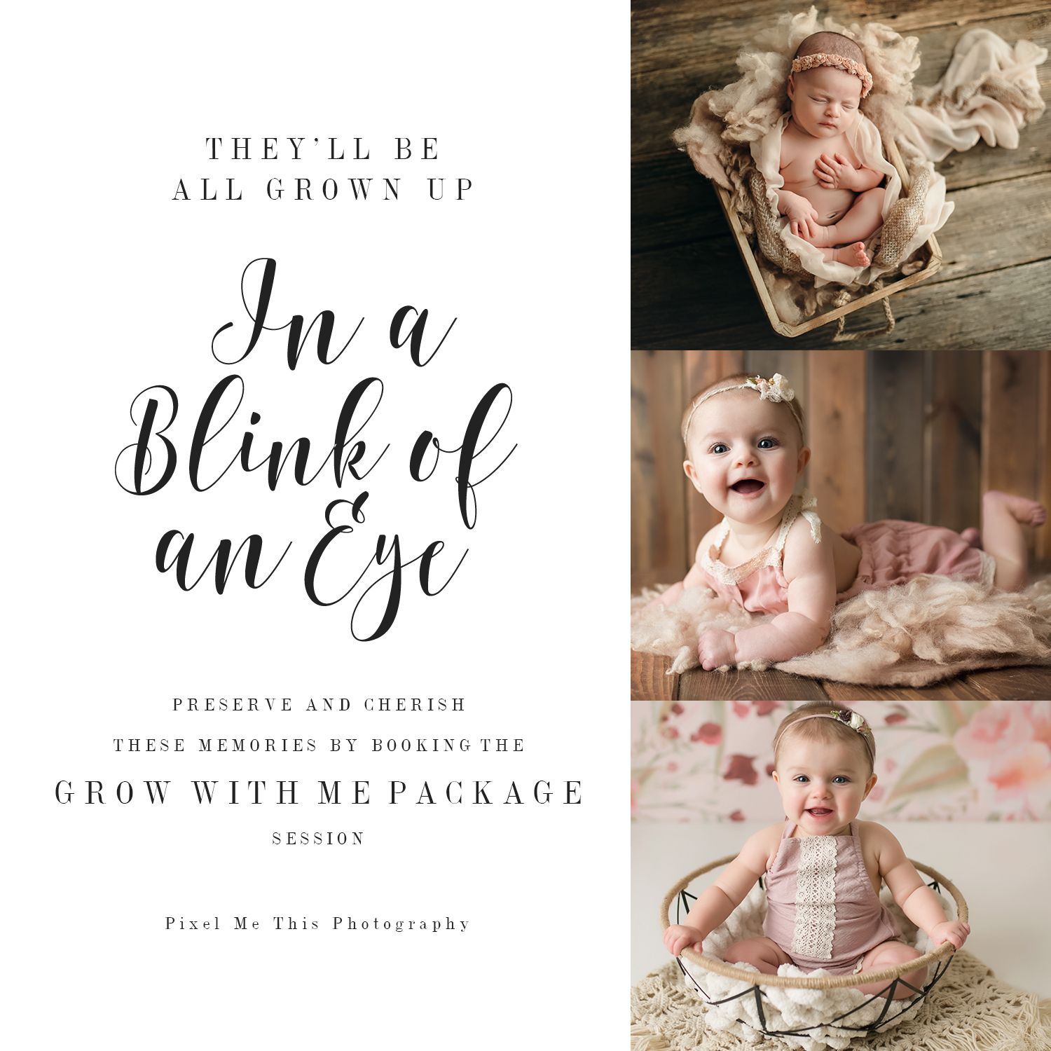 A grow with me package collage. Greenville SC newborn photographer, Easley, SC newborn photographer, Upstate newborn photographer
