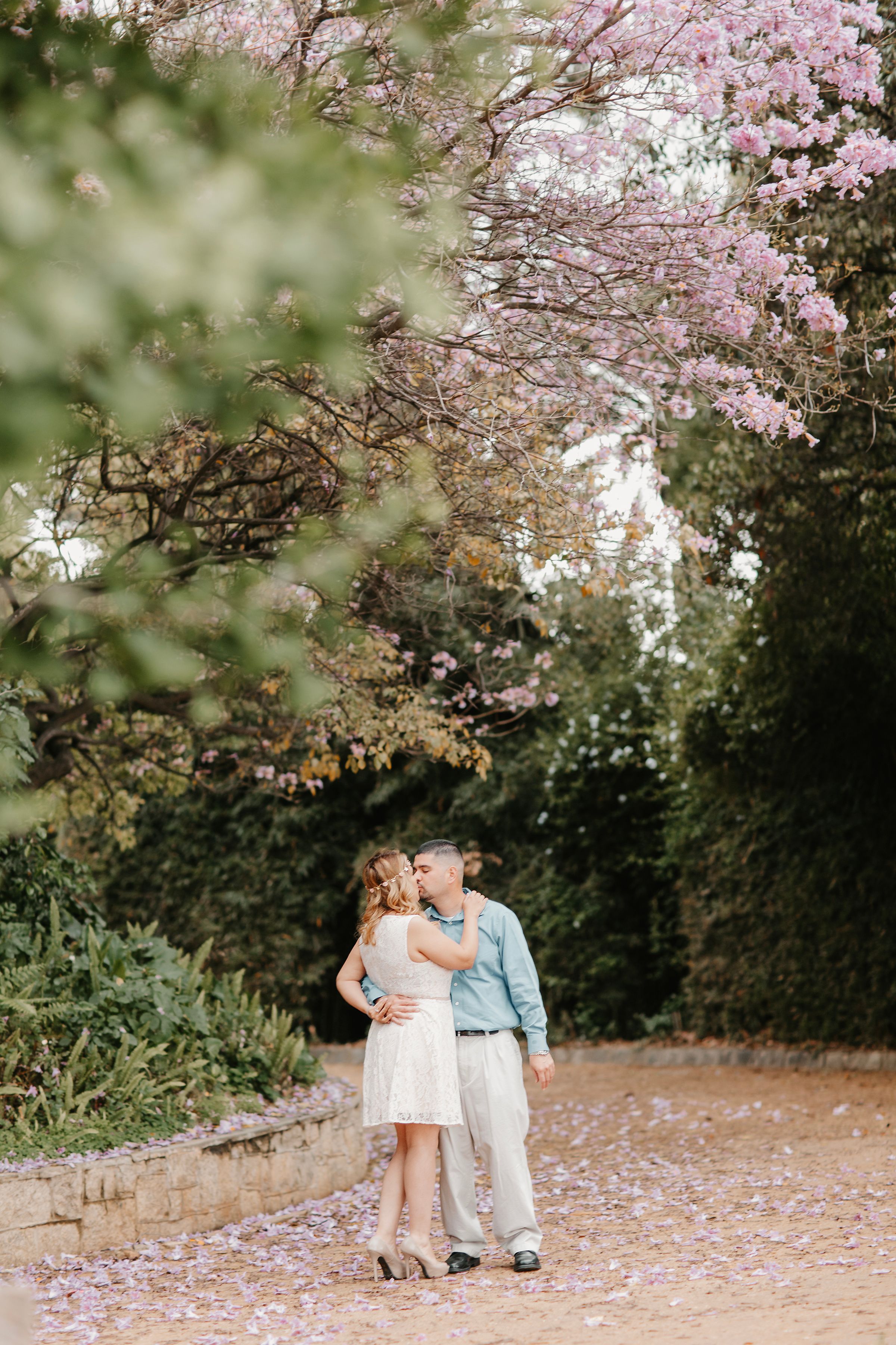 Couple posing under blooming cherry blossom trees on a romantic spring day.