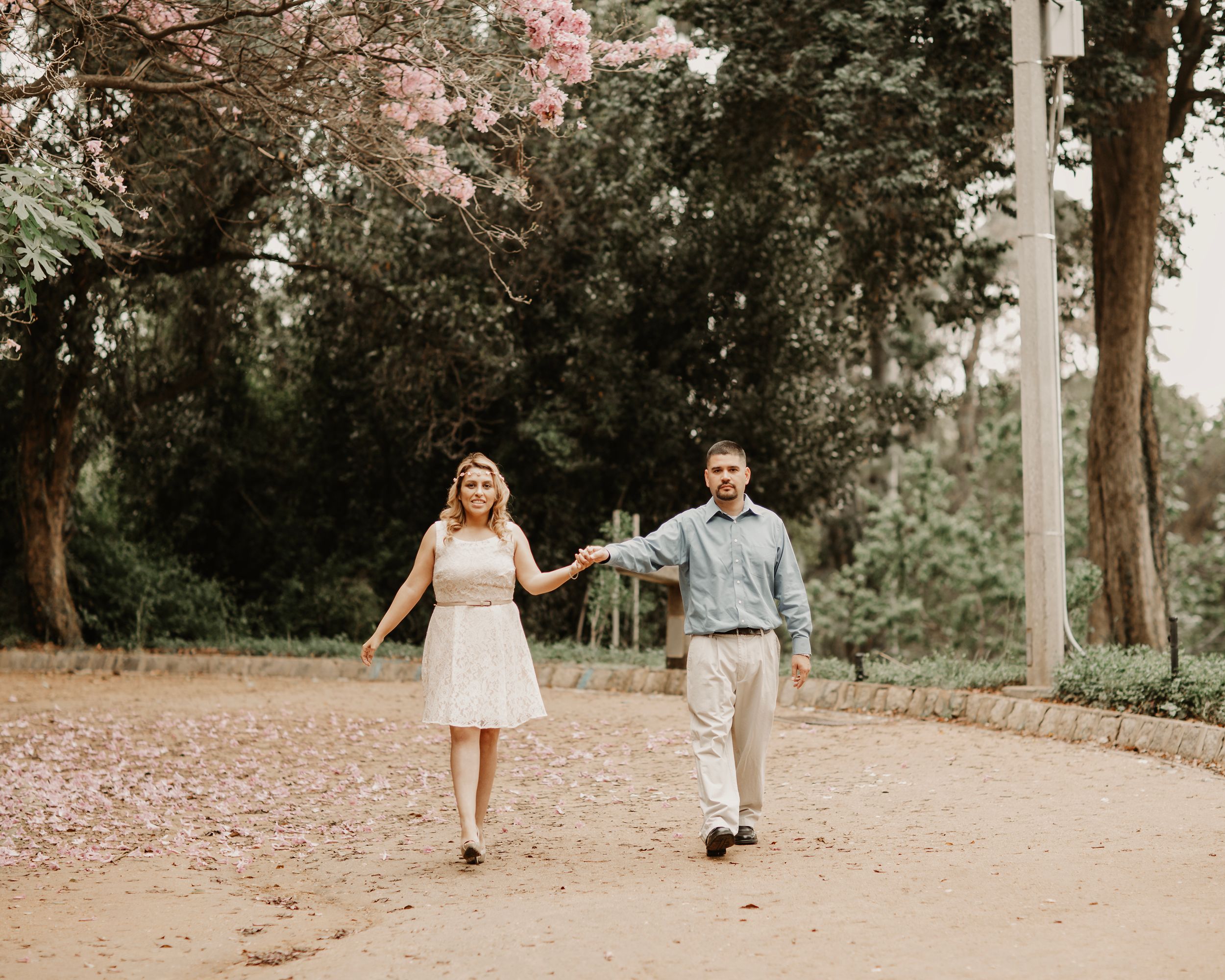 Couple walking hand in hand on a tree-lined path during a romantic outdoor photoshoot.