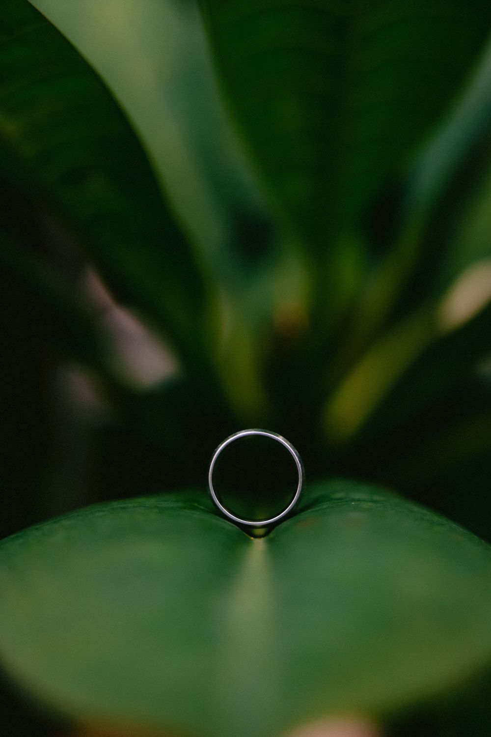 malaysia wedding photographer